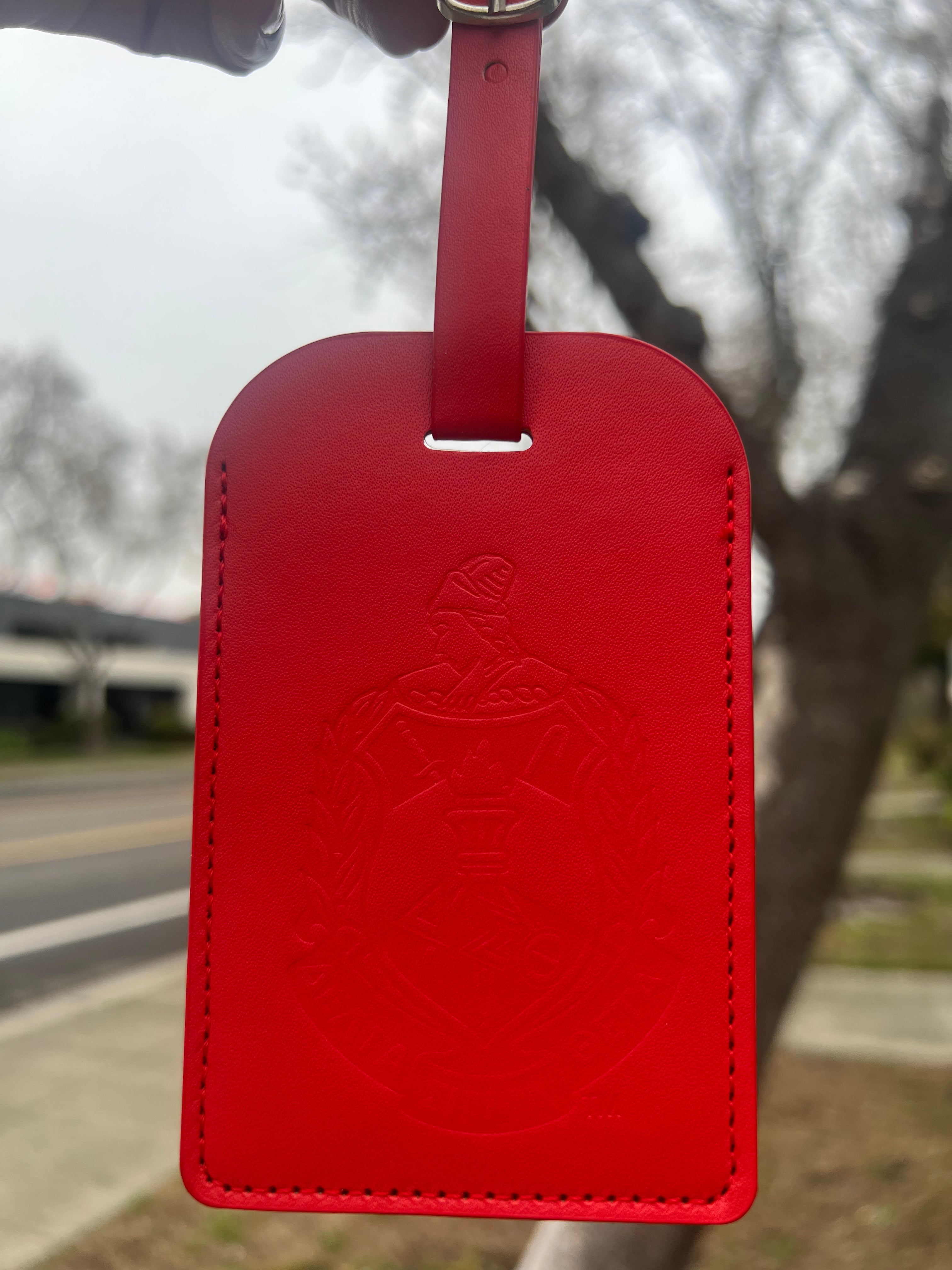 Delta Sigma Theta Luggage Tag