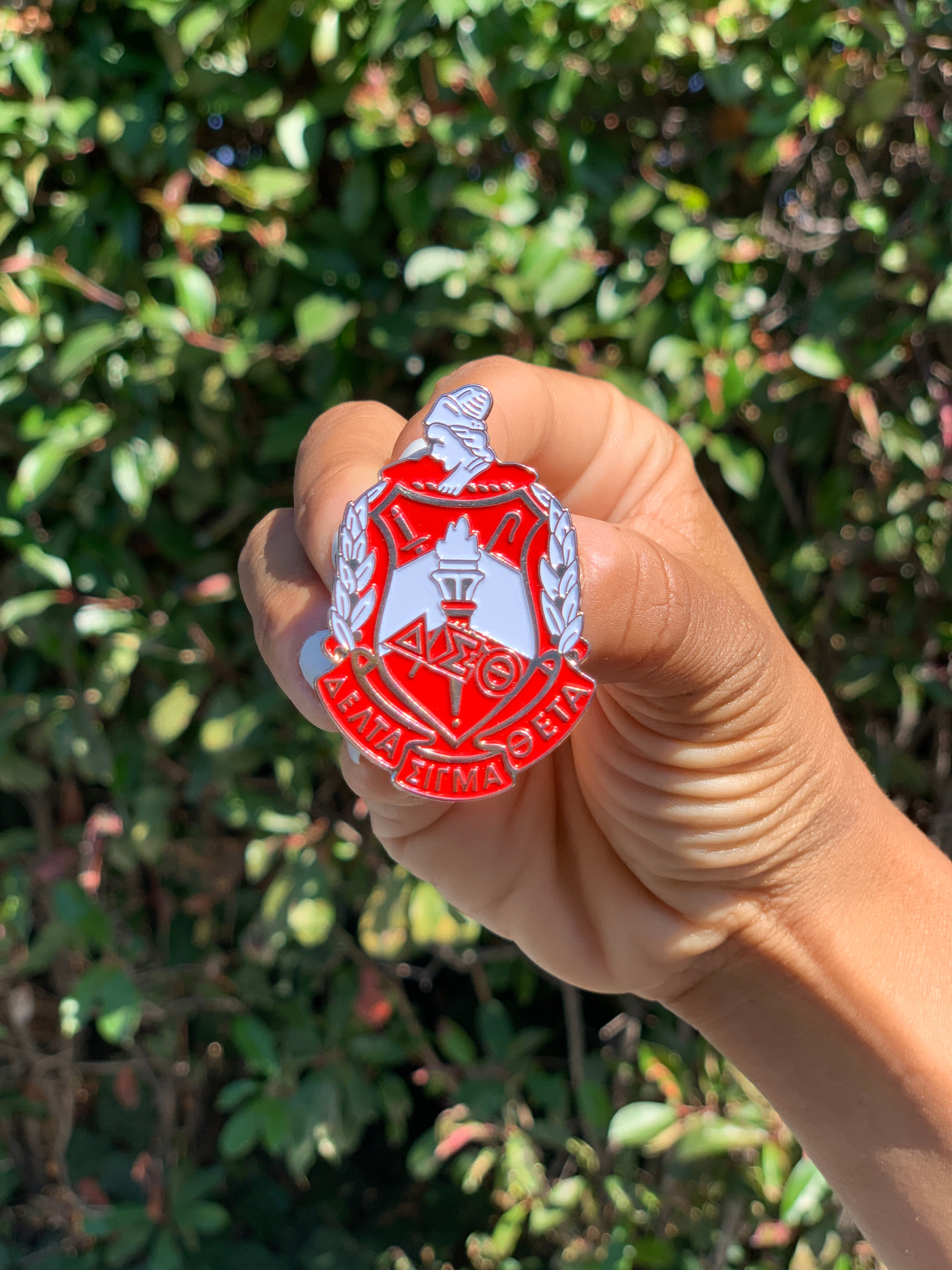 Delta Sigma Theta shield lapel pin
